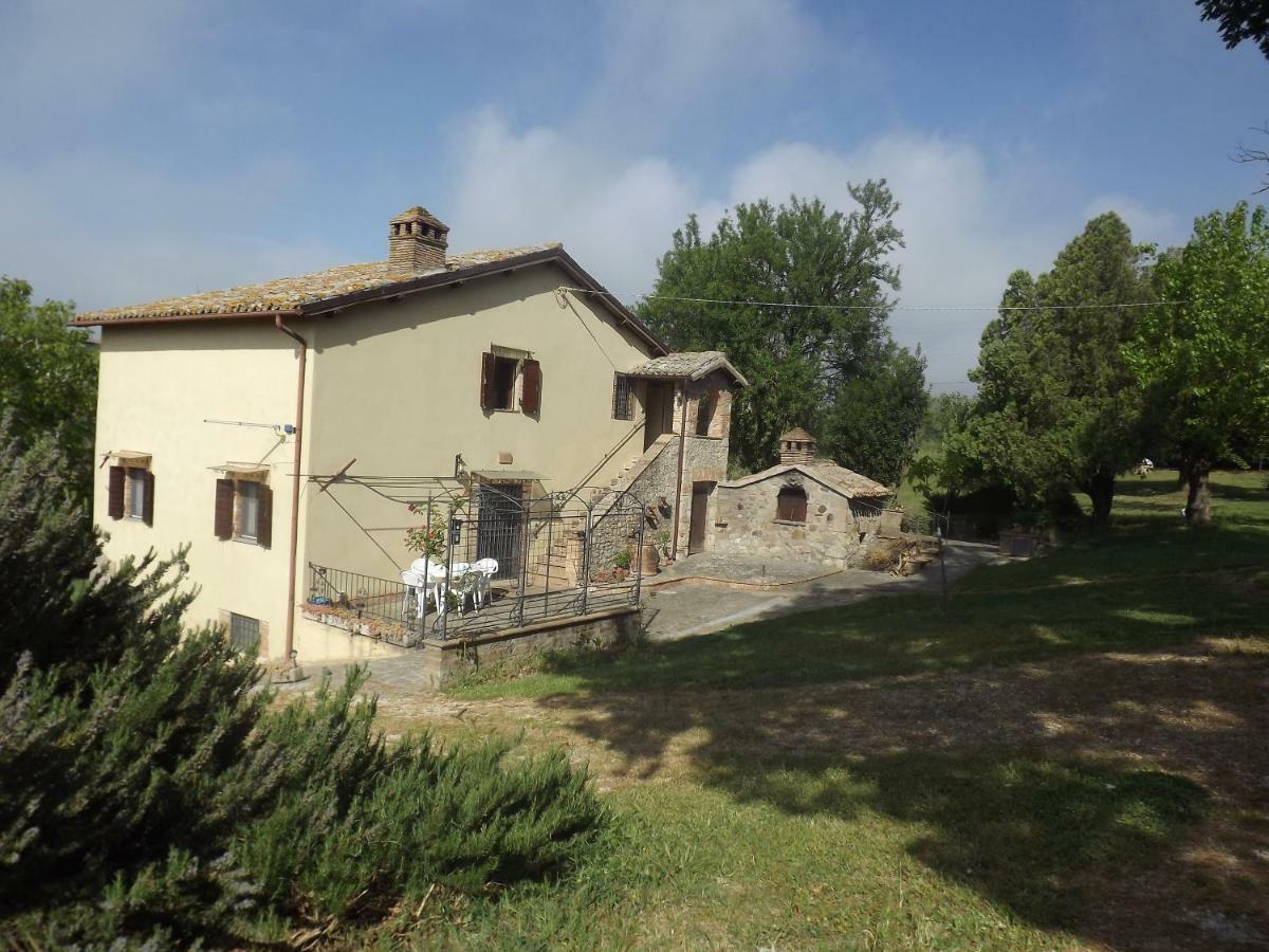 La Casetta Dei Gelsi Civitella d'Agliano Екстер'єр фото